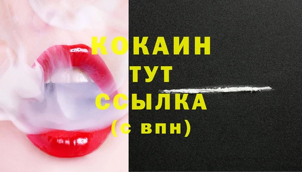 бошки Абаза